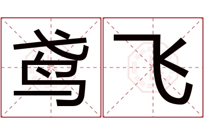 鸢飞