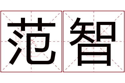 范智